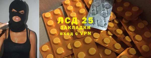 спиды Богородицк