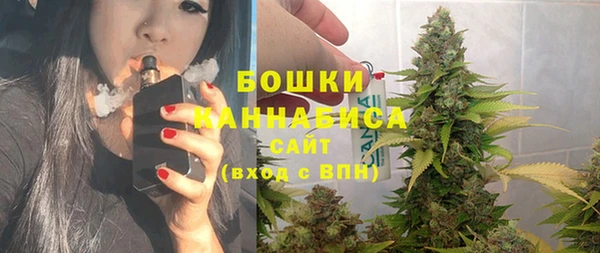 спиды Богородицк