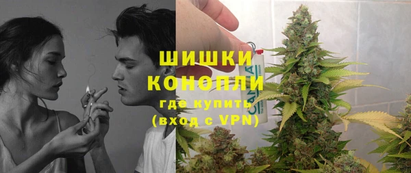 спиды Богородицк