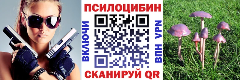Псилоцибиновые грибы мицелий  дарнет шоп  Губкинский 